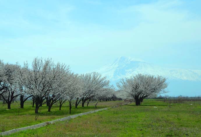 Օրվա բանաստեղծություն | Ներսես Աթաբեկյան.  Քսանհինգ օրից գարուն է