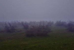 Վալերիա Գրիգորյան | Էհ