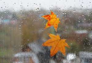 Բոլորովին ուրիշ աշուն