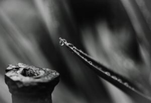Ռոնդո